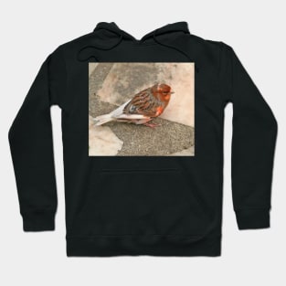 Lovely runaway canary bird Hoodie